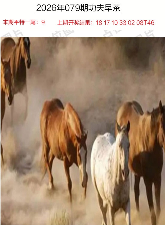 079期功夫早茶[图]